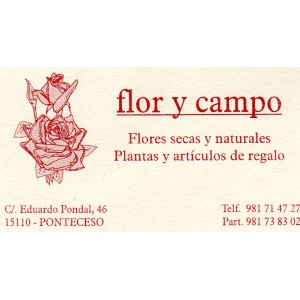 FLOR Y CAMPO