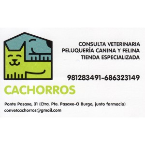 Cachorros, consulta veterinaria, peluquería canina y felina, tienda especializada en Culleredo