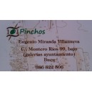 101 PINCHOS Café Bar